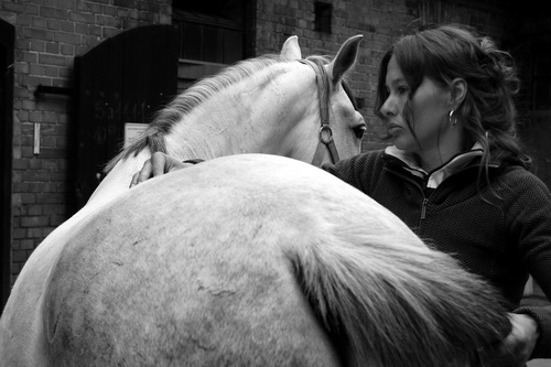 Pferdeosteopathie Geutebr&uuml;ck